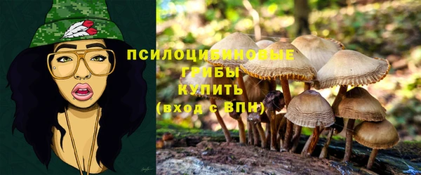 Альфа ПВП Киренск