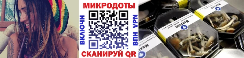 Псилоцибиновые грибы ЛСД  Купить закладки  Кушва 